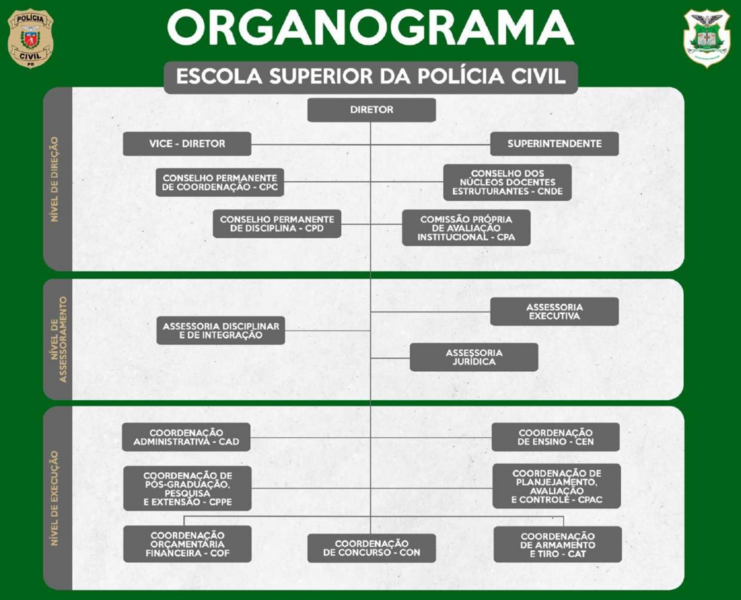 Organograma