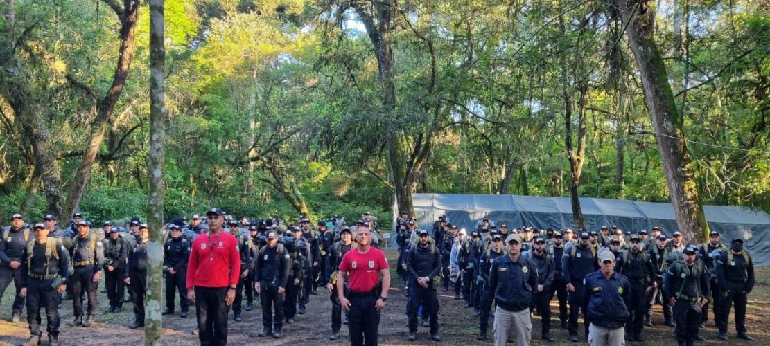 Sobrevivência na mata