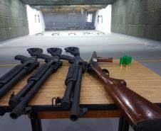 Curso de Calibre 12
